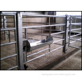 Cattle and Sheep Water Troughs